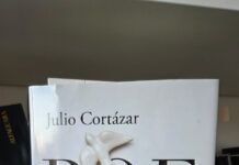 Desencasillando al poeta Julio Cortázar. Por Karina Miñano.