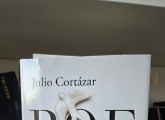 Desencasillando al poeta Julio Cortázar. Por Karina Miñano.